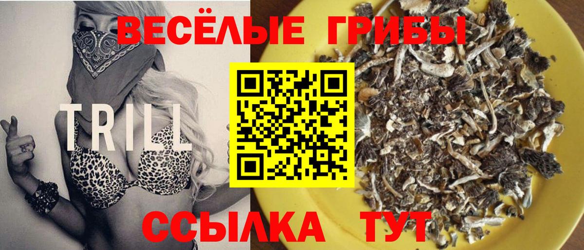 Галлюциногенные грибы ЛСД Кыштым
