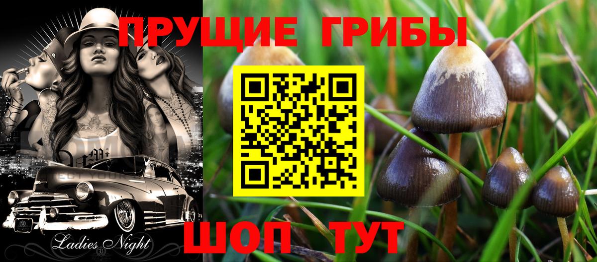 Кыштым  Псилоцибиновые грибы прущие грибы  Галлюциногенные грибы MAGIC MUSHROOMS  наркотики  Вход с VPN 